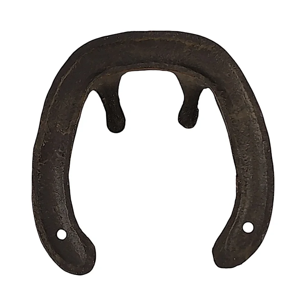 Cast Iron Horseshoe Good Luck Hook